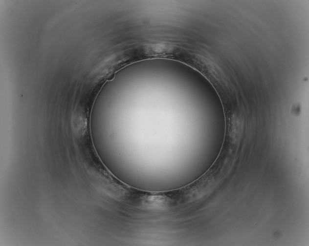 X0000091070324200708061307