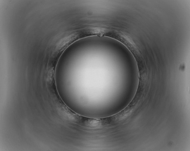 X0000091070325200708061307