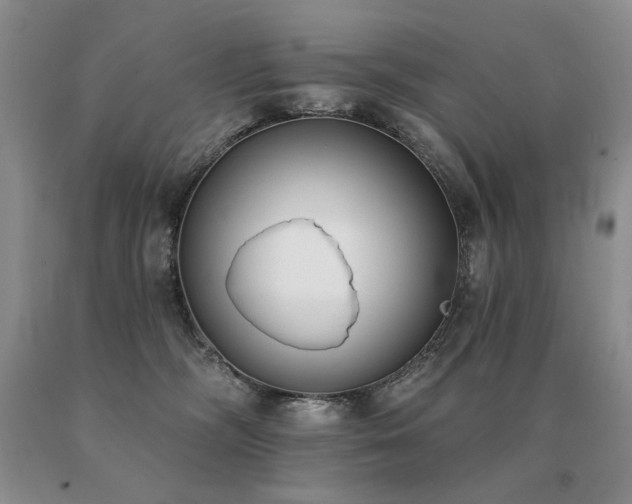 X0000091070326200708061307