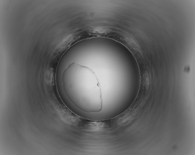 X0000091070328200708061307
