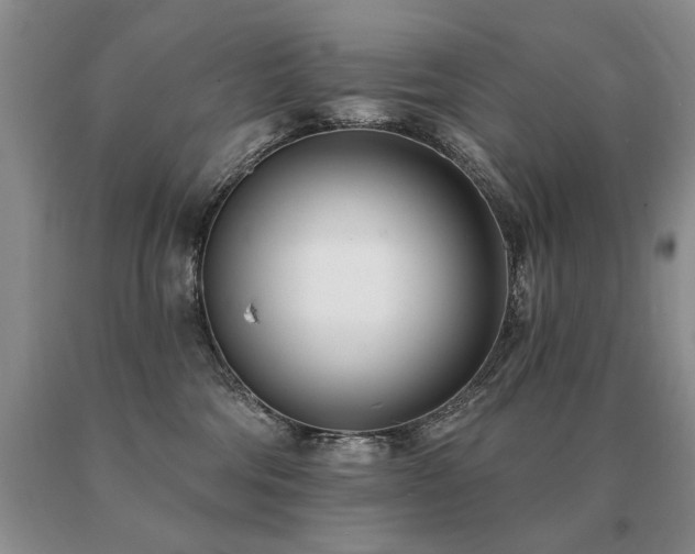 X0000091070330200708061307