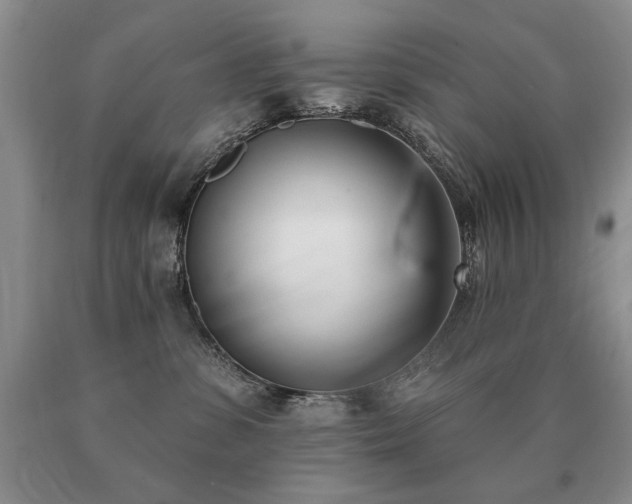 X0000091070331200708061307