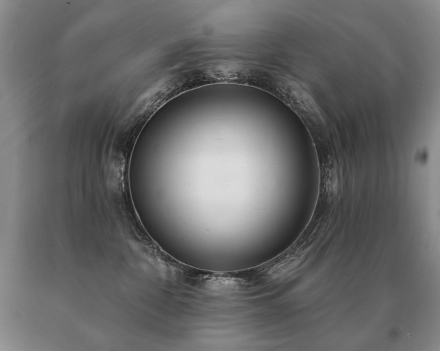 X0000091070332200708061307