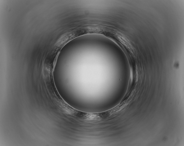 X0000091070333200708061307