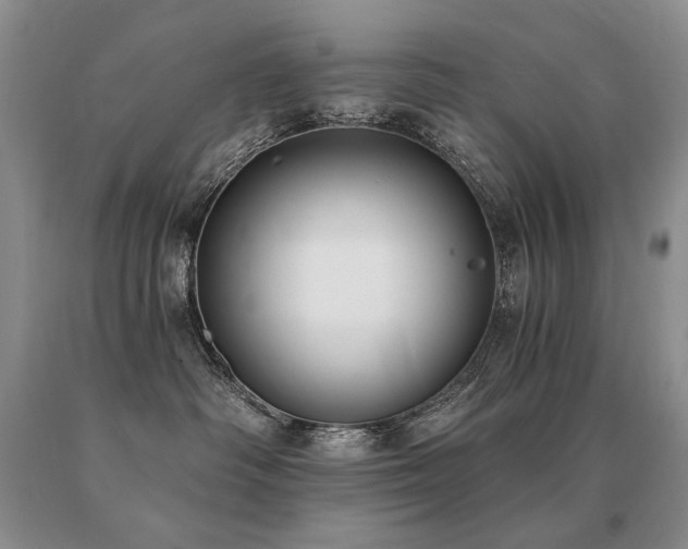 X0000091070334200708061307