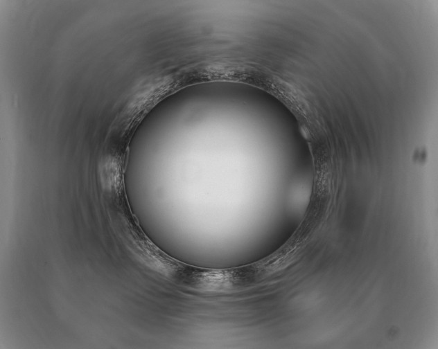 X0000091070335200708061306