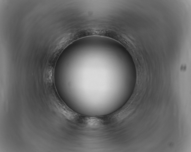 X0000091070336200708061306