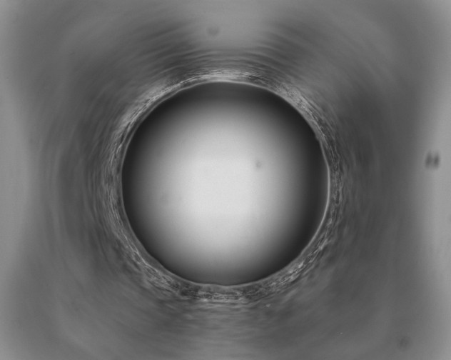 X0000091070337200708061306