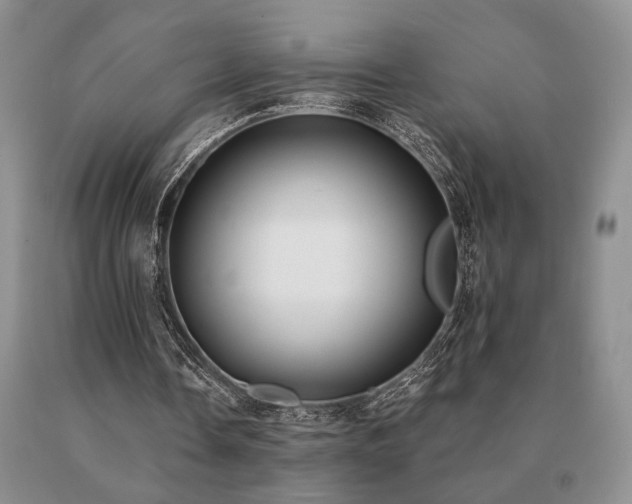 X0000091070338200708061306