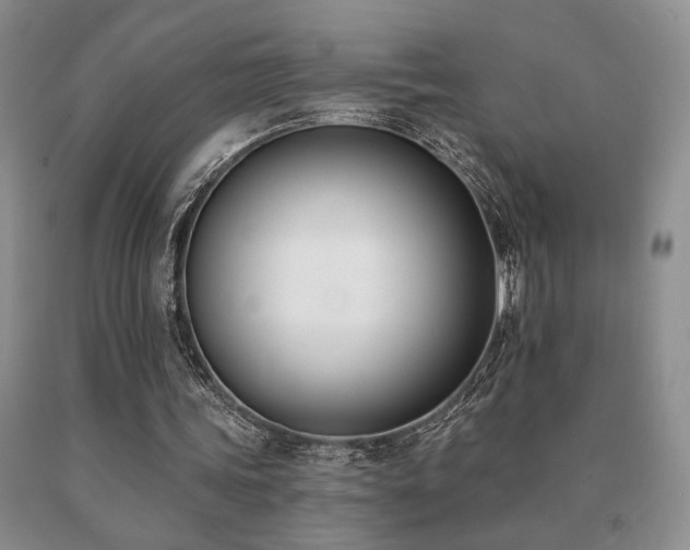 X0000091070339200708061306