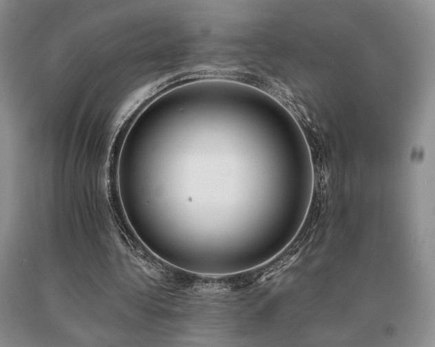 X0000091070340200708061306