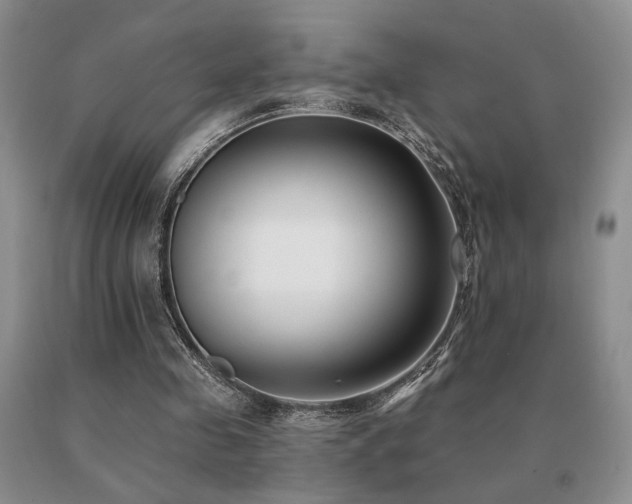 X0000091070341200708061306