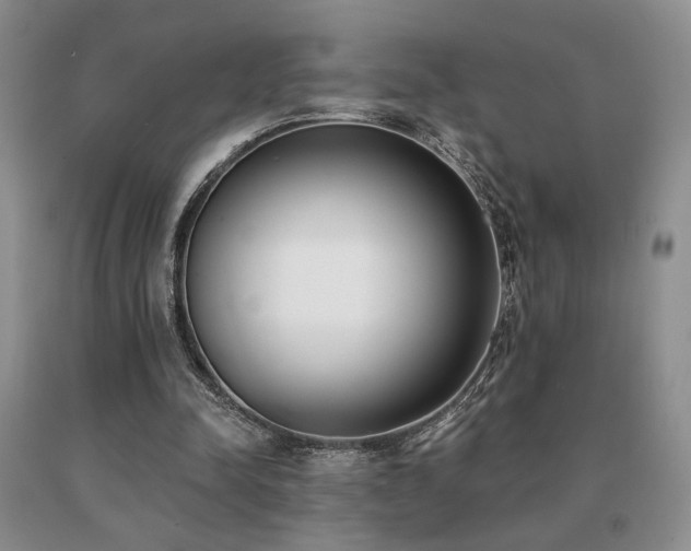 X0000091070342200708061306