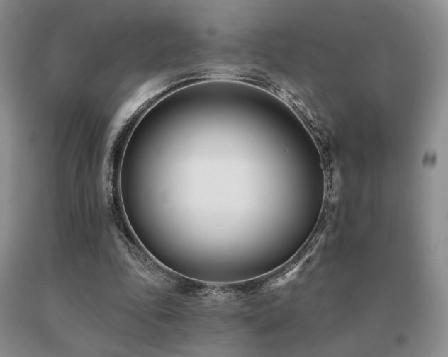 X0000091070343200708061306