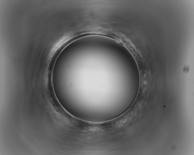 X0000091070344200708061306