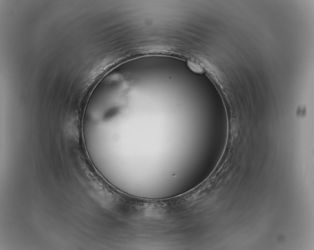 X0000091070345200708061306