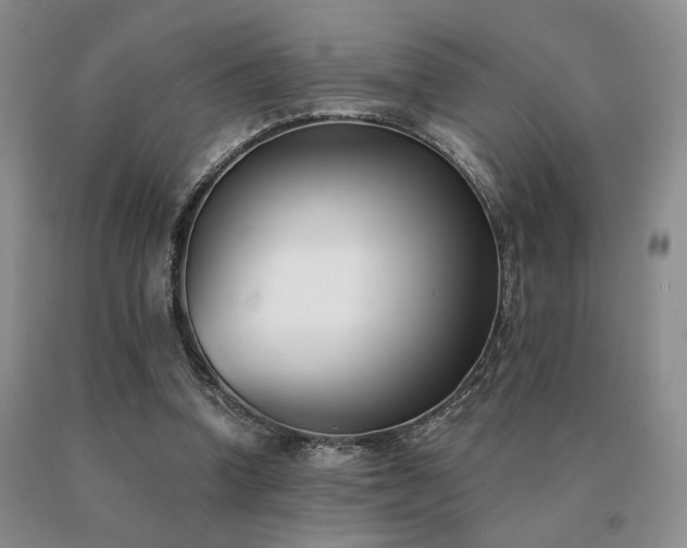 X0000091070346200708061306