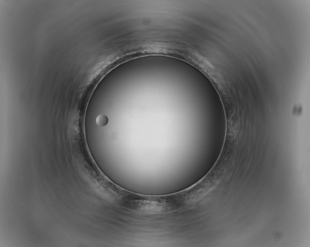 X0000091070347200708061306