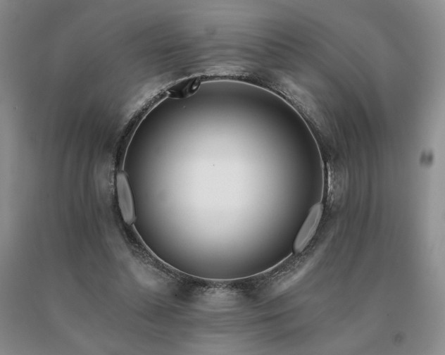 X0000091070348200708061306