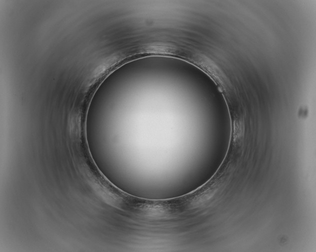 X0000091070349200708061306