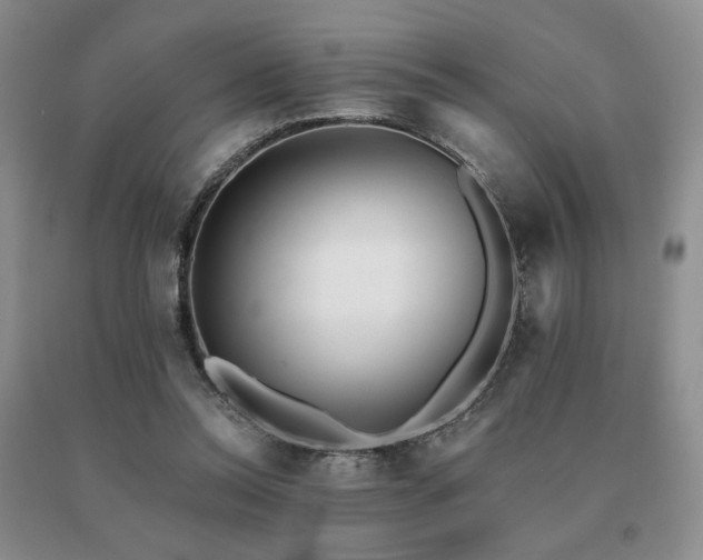 X0000091070350200708061306