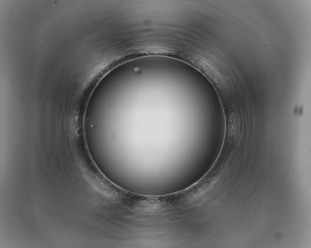 X0000091070351200708061306