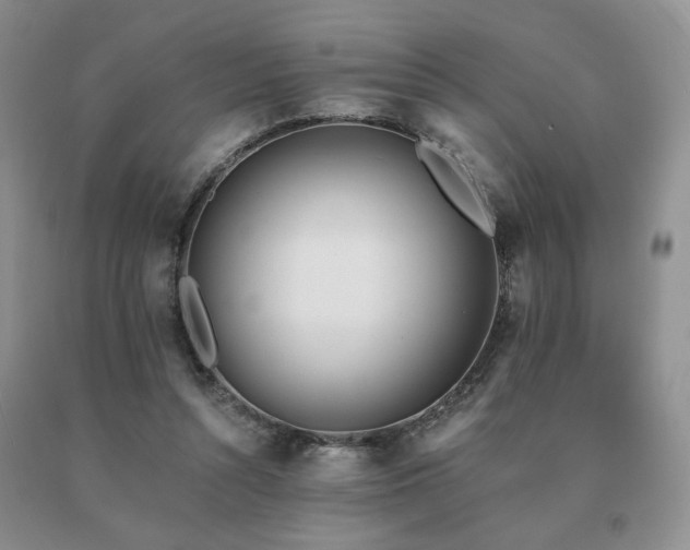 X0000091070352200708061306