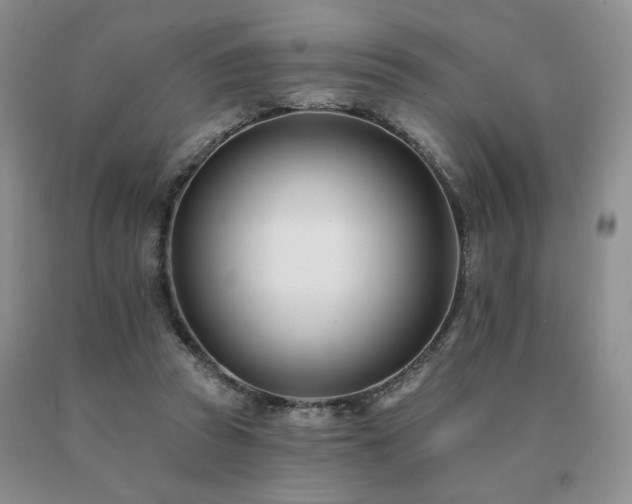 X0000091070353200708061306