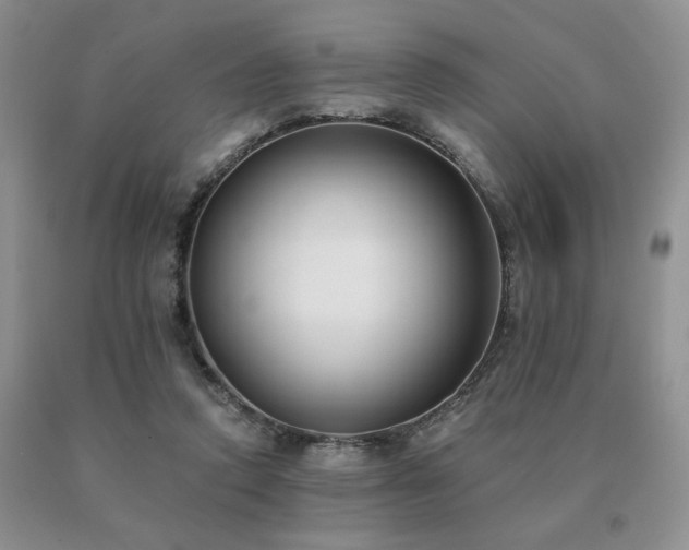 X0000091070354200708061306