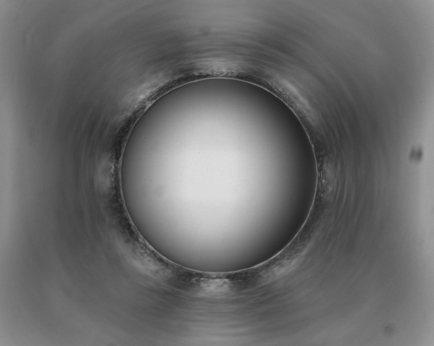 X0000091070355200708061306