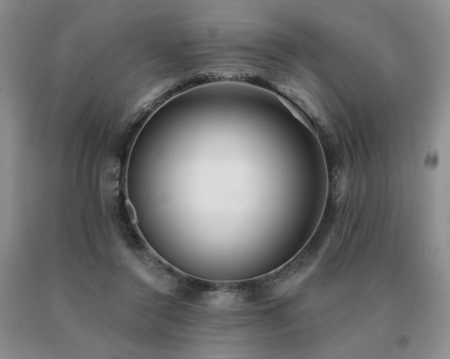 X0000091070356200708061306