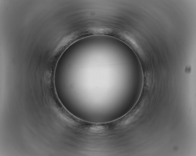 X0000091070357200708061306