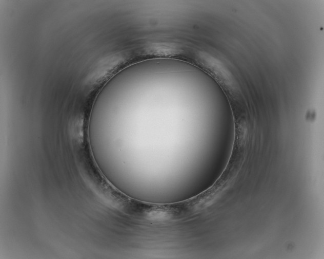 X0000091070358200708061306