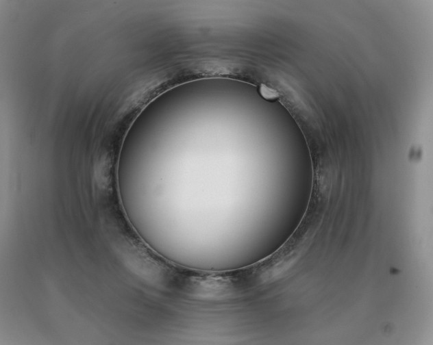 X0000091070359200708061306
