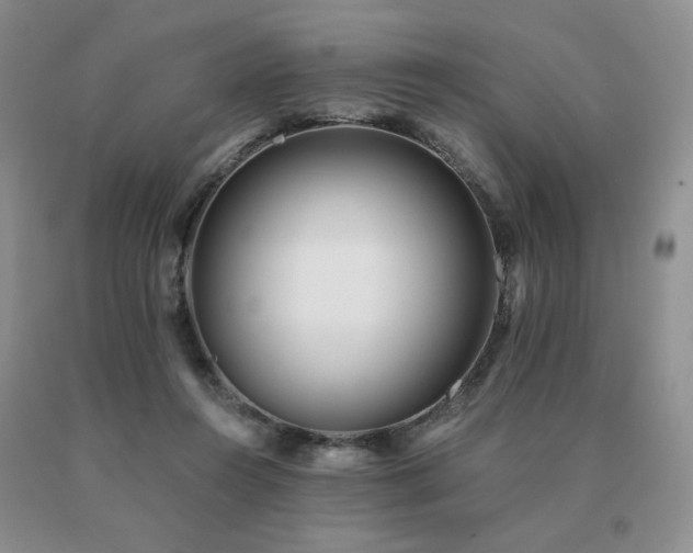 X0000091070360200708061306