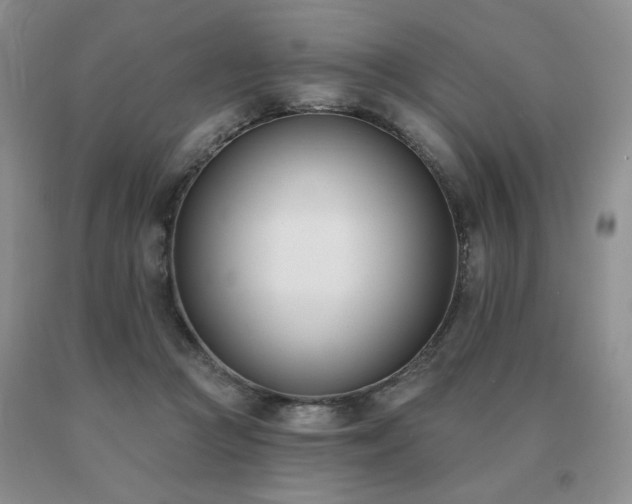 X0000091070361200708061306