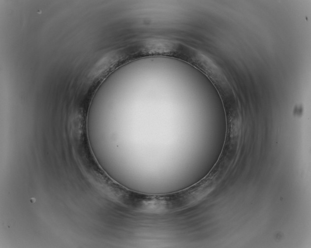 X0000091070362200708061306