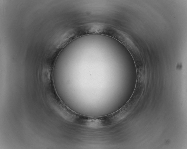 X0000091070363200708061306