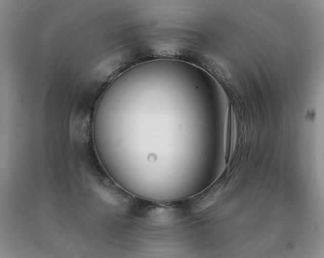 X0000091070364200708061306