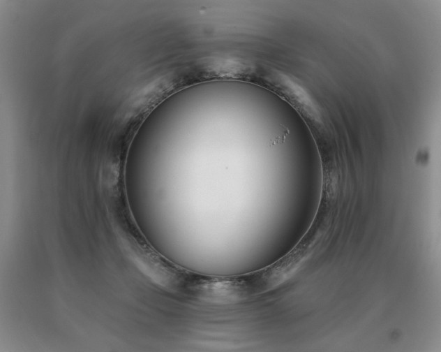 X0000091070365200708061306