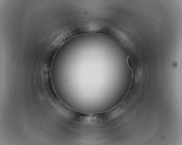 X0000091070366200708061306