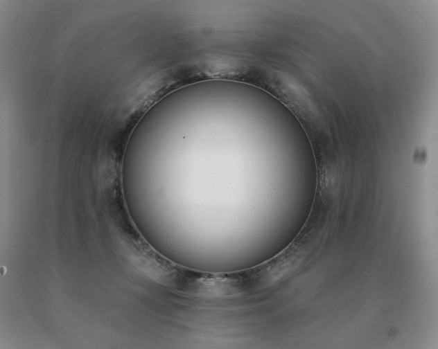X0000091070367200708061306