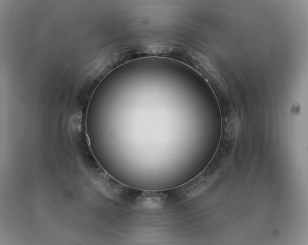 X0000091070368200708061306