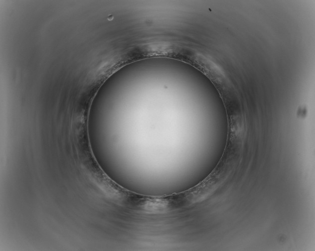 X0000091070369200708061306