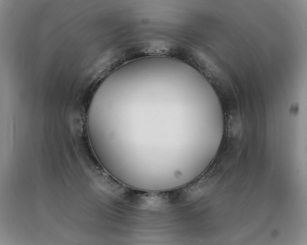 X0000091070370200708061306