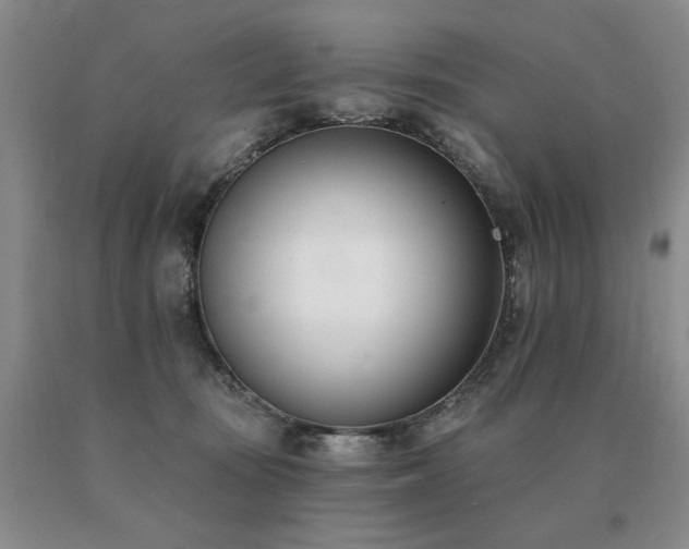 X0000091070371200708061306