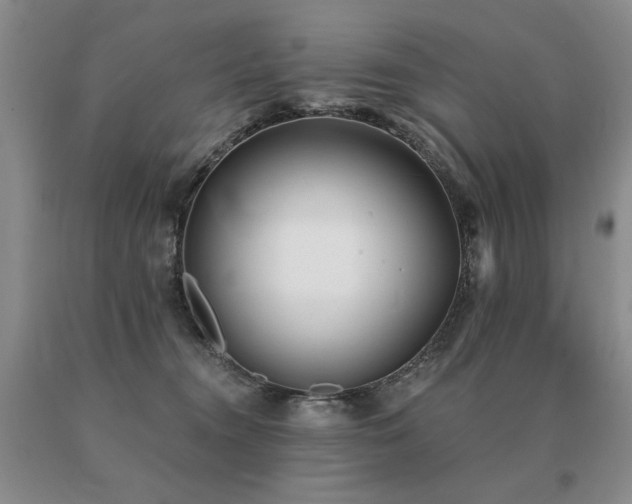 X0000091070372200708061306