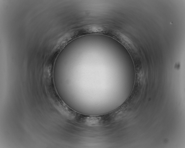 X0000091070373200708061306