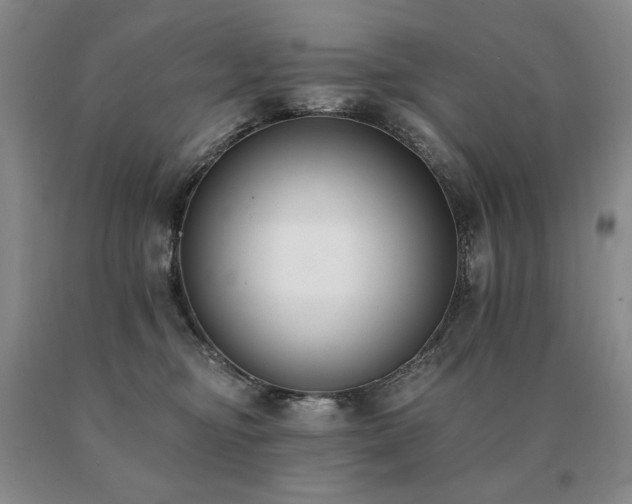 X0000091070374200708061306