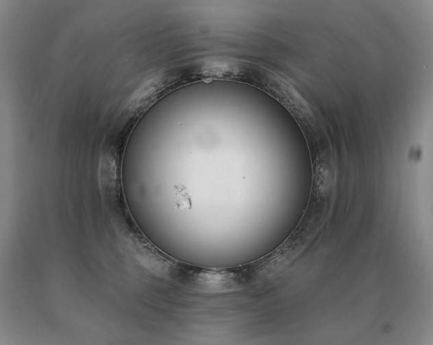X0000091070375200708061306